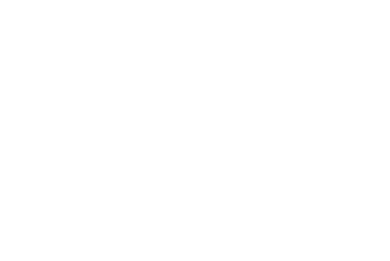 FX1